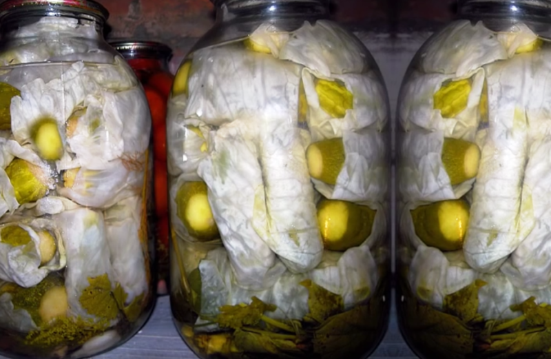 pickles_in_cabbage_leaves_4-5377061